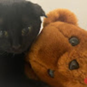 Meet your Posher, Ingrid